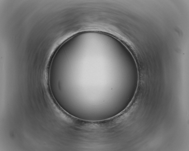 X0000111011517200906191601
