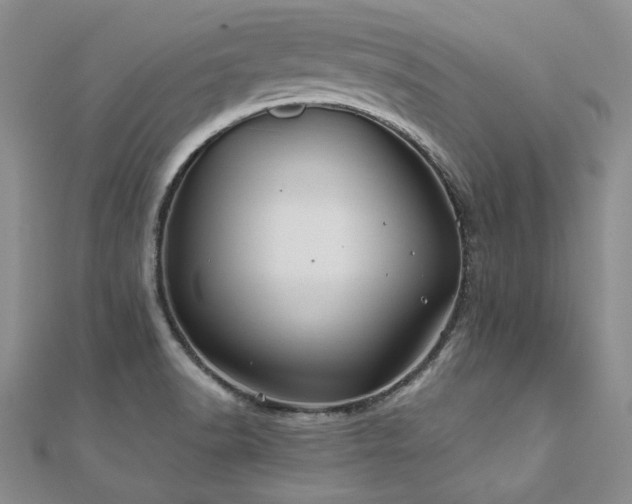 X0000111011518200906191601