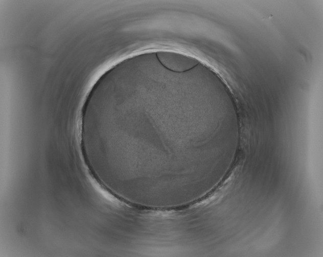 X0000111011519200906191601