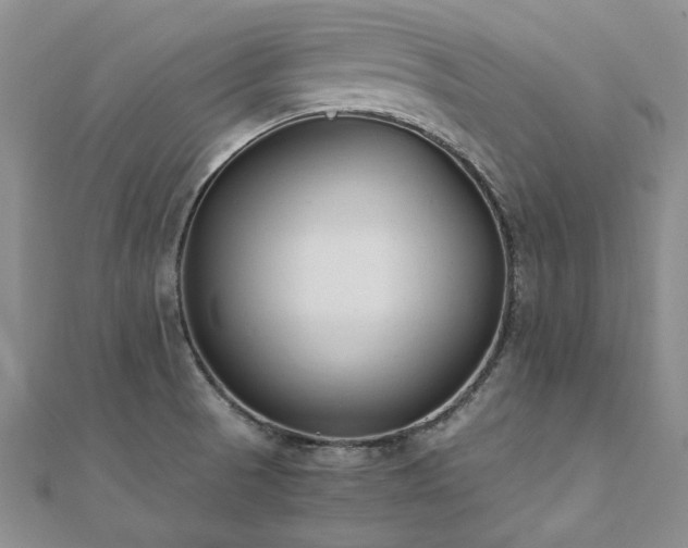 X0000111011521200906191601