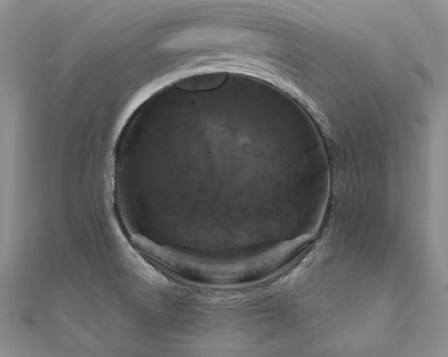 X0000111011522200906191601