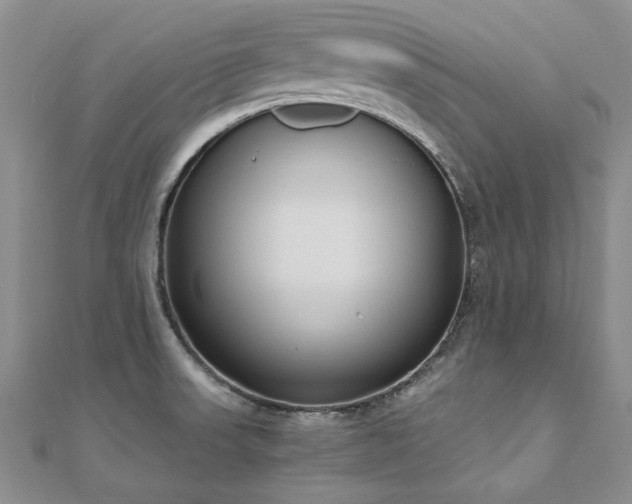 X0000111011523200906191601