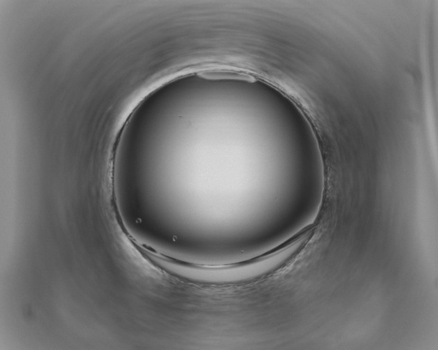 X0000111011524200906191601