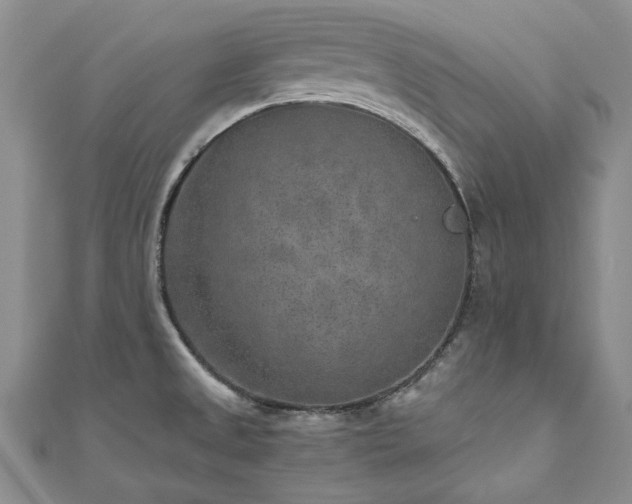 X0000111011525200906191601
