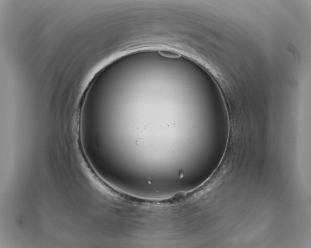 X0000111011526200906191601
