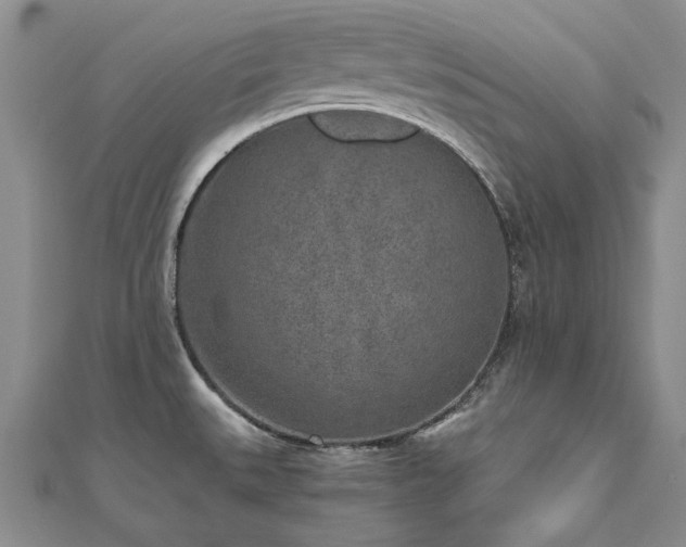 X0000111011527200906191601