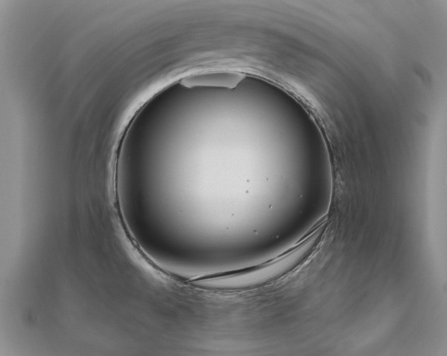 X0000111011528200906191601