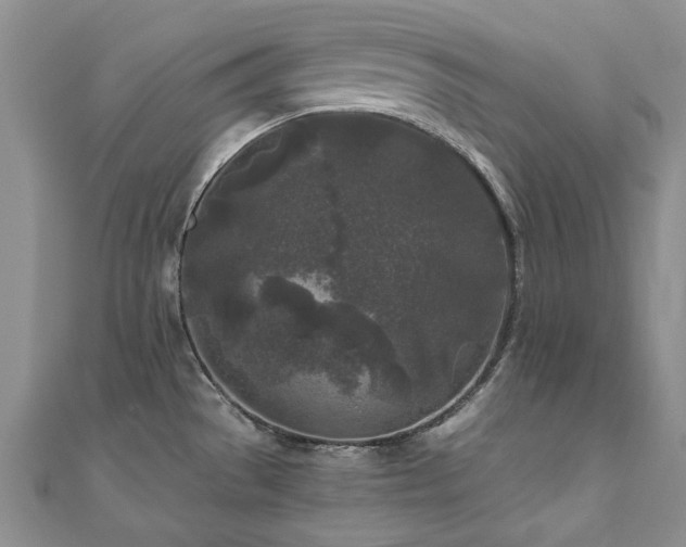 X0000111011529200906191601