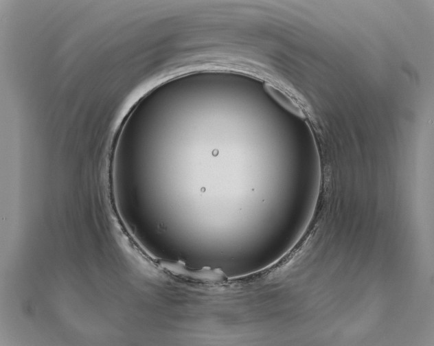 X0000111011530200906191601