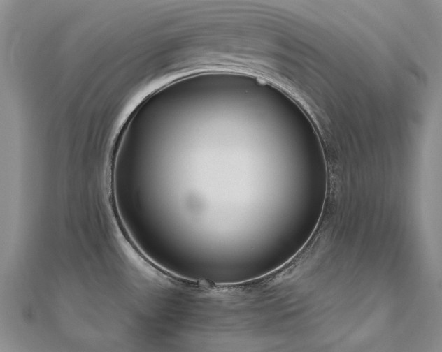 X0000111011531200906191601