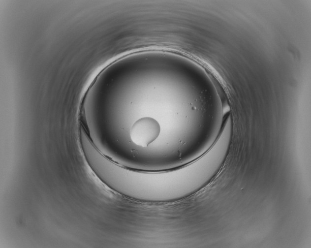 X0000111011532200906191601