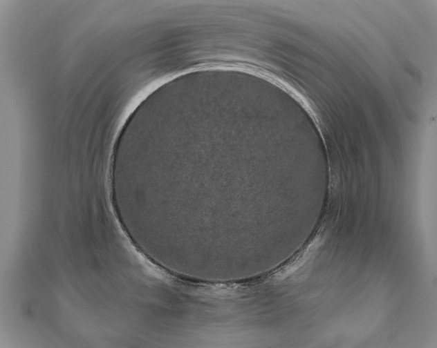 X0000111011533200906191601