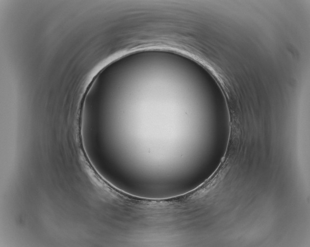 X0000111011534200906191601