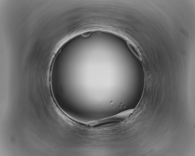 X0000111011535200906191601