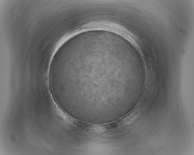 X0000111011536200906191601