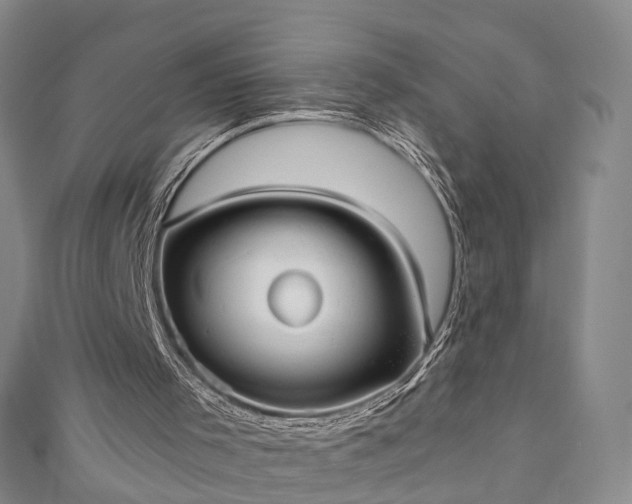 X0000111010001200906261529