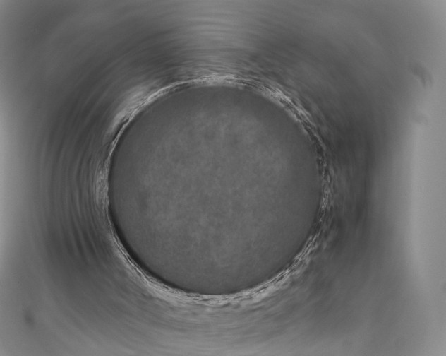 X0000111010002200906261529