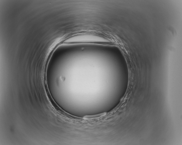 X0000111010003200906261529
