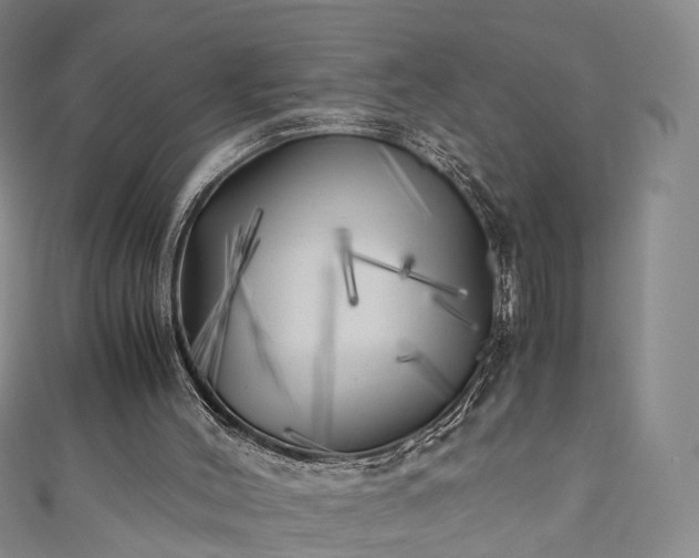 X0000111010004200906261529