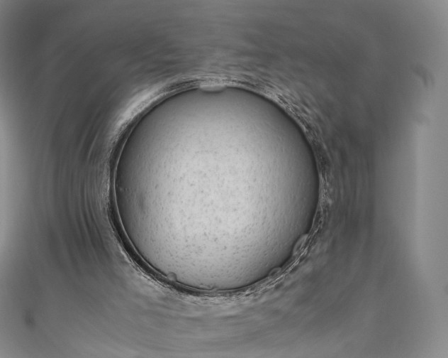 X0000111010005200906261529