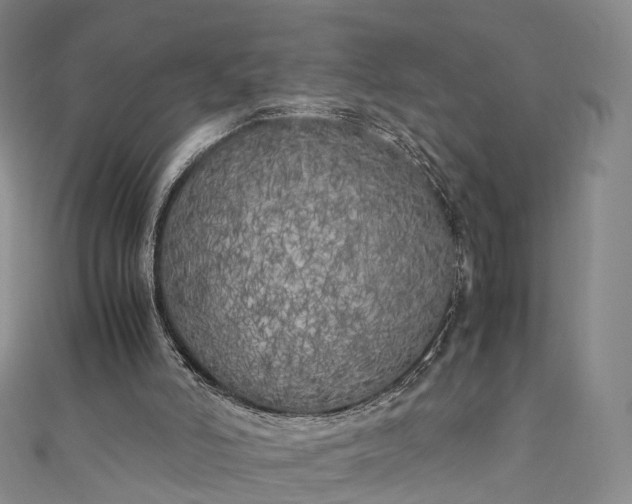 X0000111010006200906261529