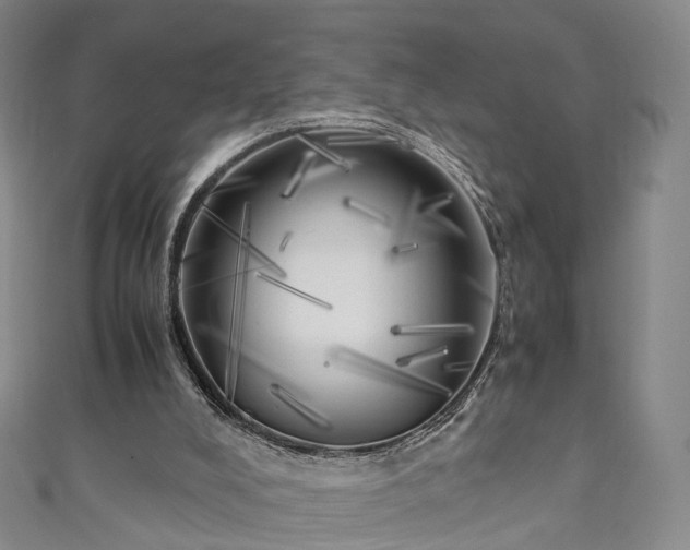 X0000111010008200906261529