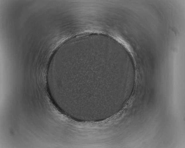 X0000111010009200906261529