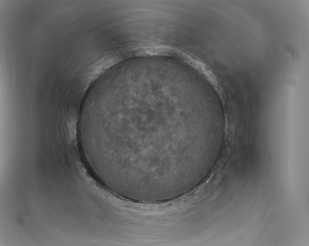 X0000111010010200906261529