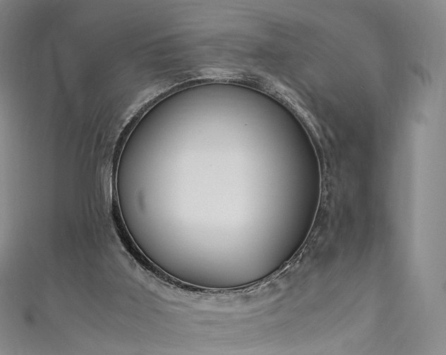 X0000111010011200906261529