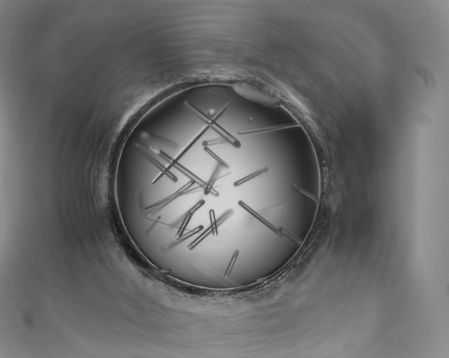 X0000111010012200906261529