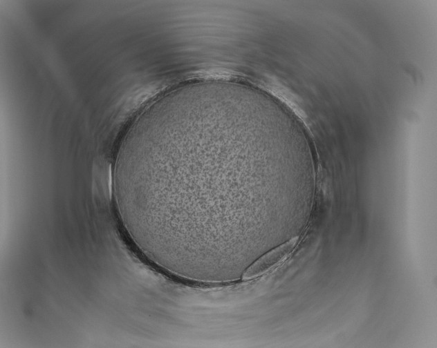 X0000111010013200906261529