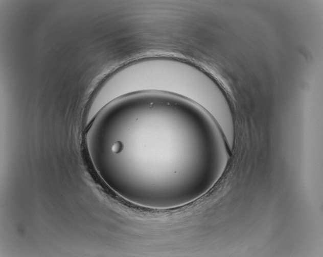 X0000111010015200906261529