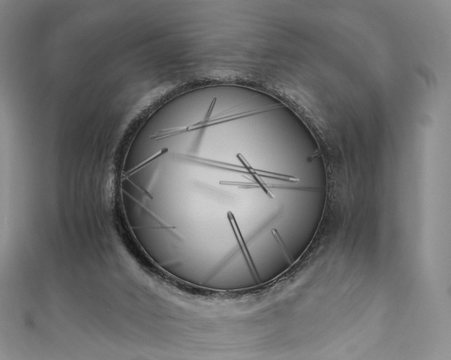 X0000111010016200906261529