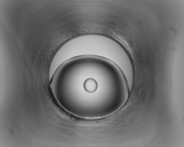 X0000111010017200906261529