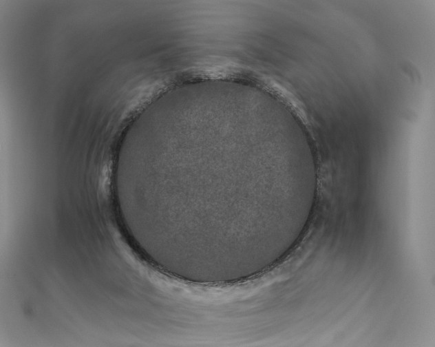 X0000111010018200906261529