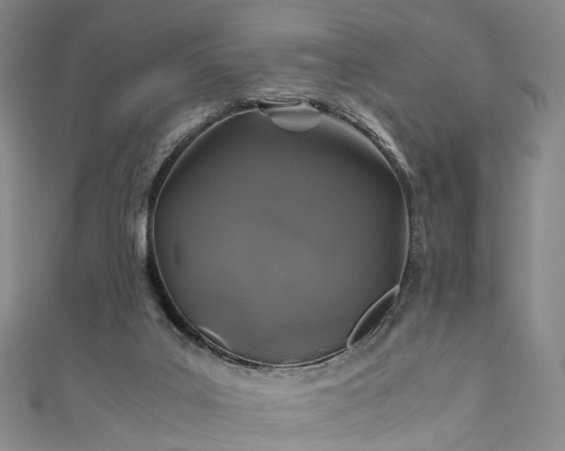 X0000111010019200906261529