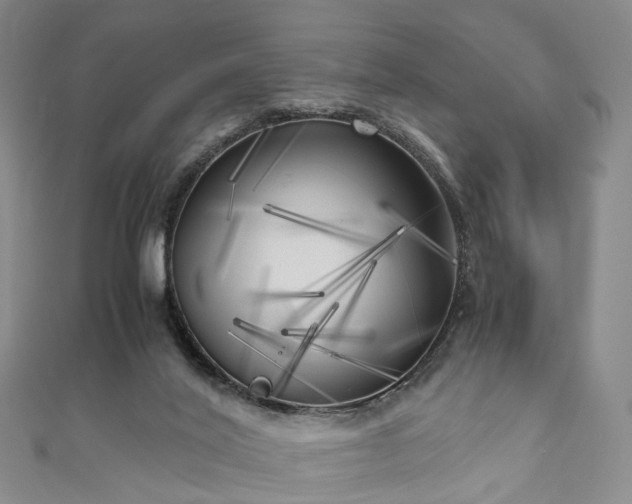 X0000111010020200906261529