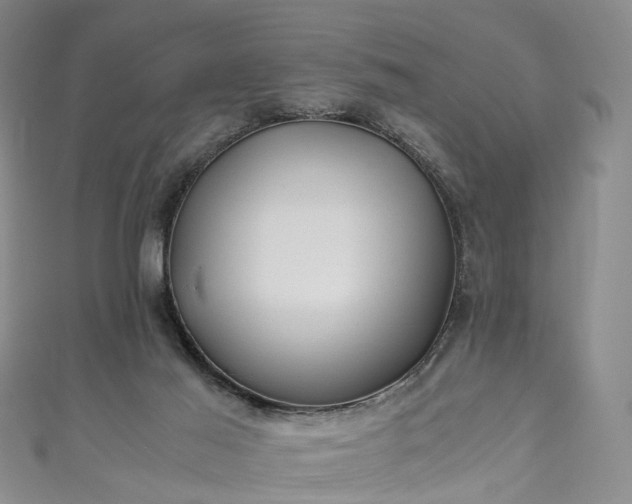 X0000111010021200906261529