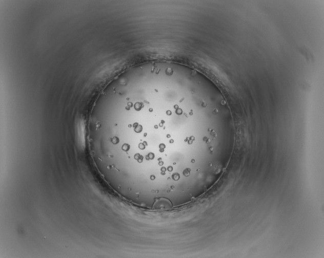 X0000111010022200906261529