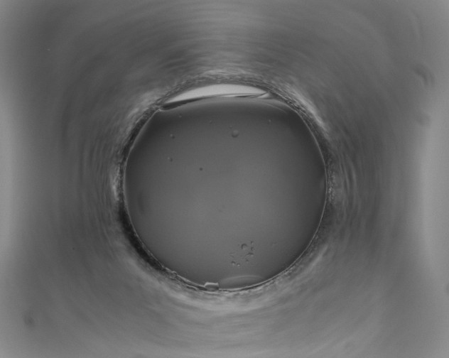 X0000111010023200906261529