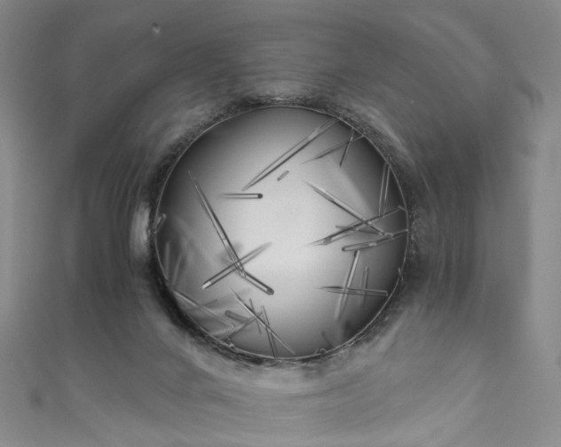X0000111010024200906261529