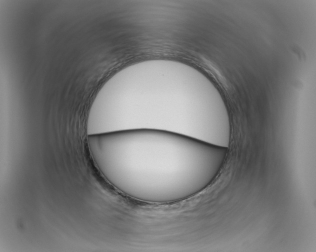 X0000111010025200906261529