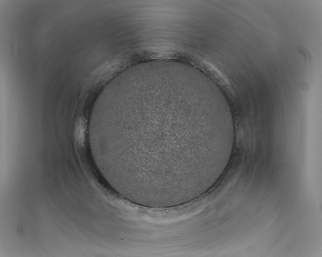 X0000111010026200906261529