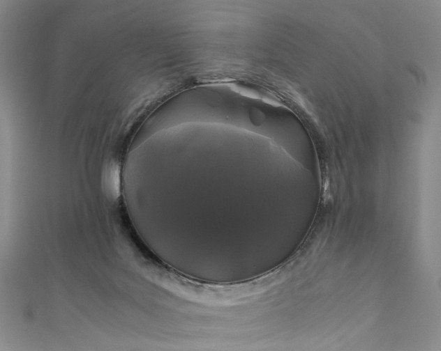 X0000111010027200906261529