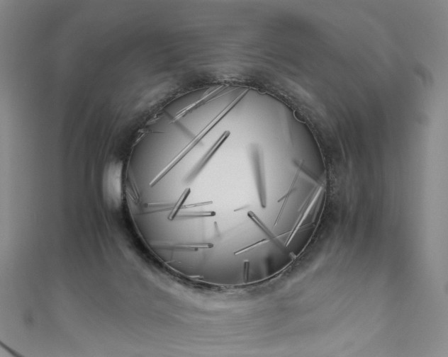 X0000111010028200906261529