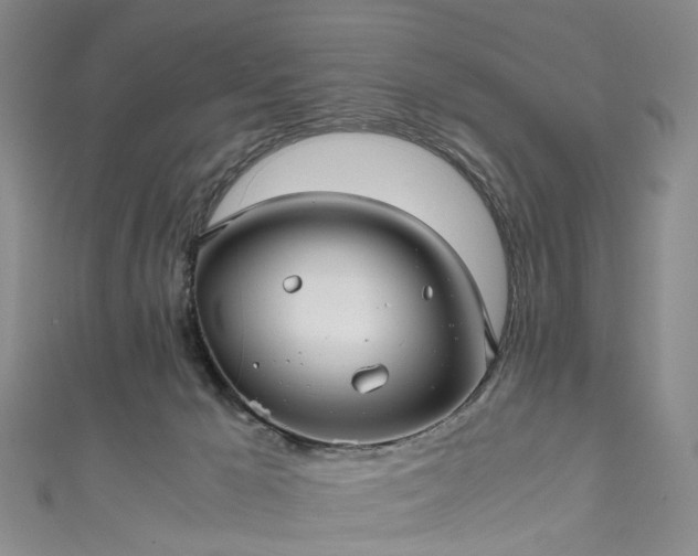 X0000111010029200906261529