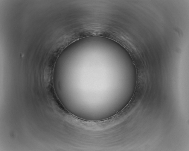 X0000111010030200906261529