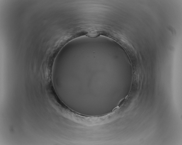 X0000111010031200906261529