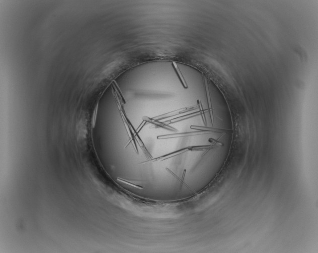 X0000111010032200906261529