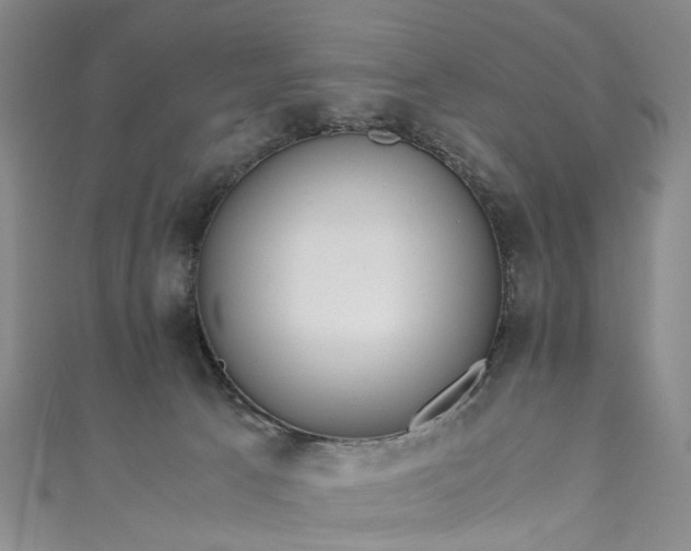 X0000111010033200906261529